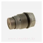 Клапан редукционный на рампу (топливной рейки) 1110010028