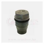 Клапан редукционный на рампу (топливной рейки) 1110010028 — изображение 2