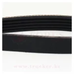 Ремень поликлиновый генератора ЯМЗ-650 — изображение 2