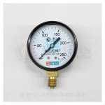 Манометр давления гидравлический 0-250 кс/см2, класс 1.5 / M12x1.5 — изображение 2