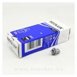 Лампа с пластиковым цоколем B8,5d (на щиток приборов) (1987302514) 24V 1.2W — изображение 2